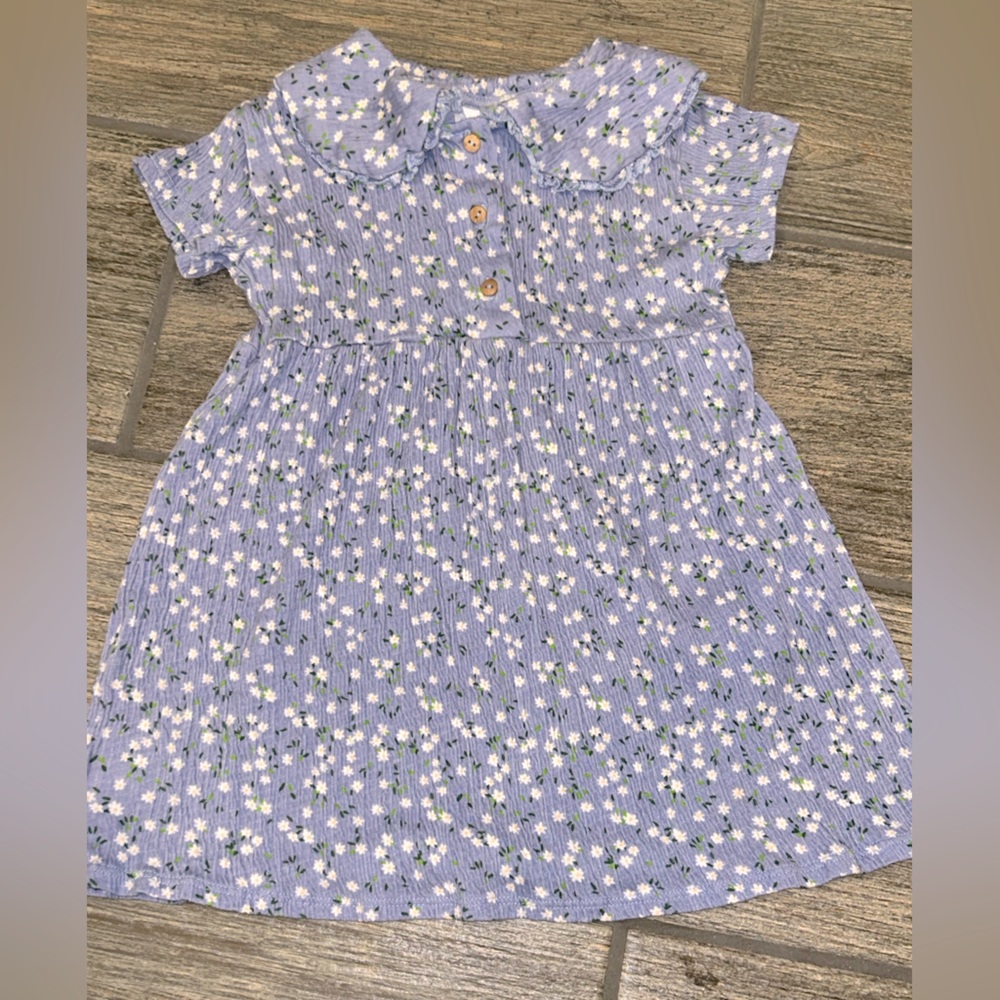 Zara Dress